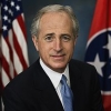 bobcorker